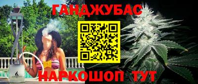 сатива Кинель