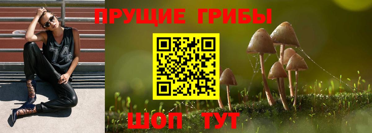 Котовск  Псилоцибиновые грибы MAGIC MUSHROOMS  Псилоцибиновые грибы Cubensis  Вход с VPN 